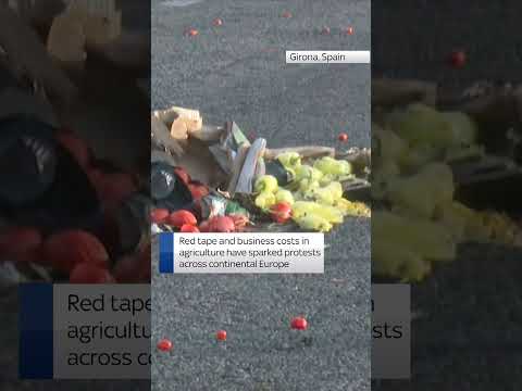 Farmers stage fiery protests in Spain over squeeze on their industry
