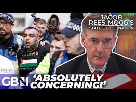 ‘INTIMIDATION tactic!’ | Some ‘protests turn people AWAY from the Palestinian cause!’: Peymana Assad