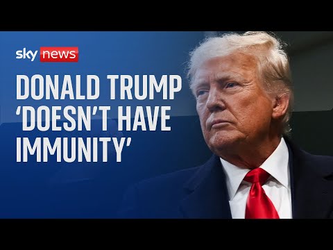 Trump ‘doesn’t have presidential immunity’ – US Appeals Court