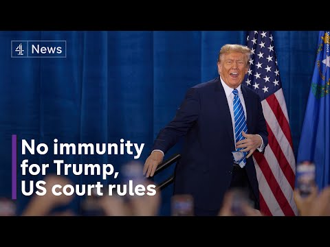 Trump does not have immunity, US court rules