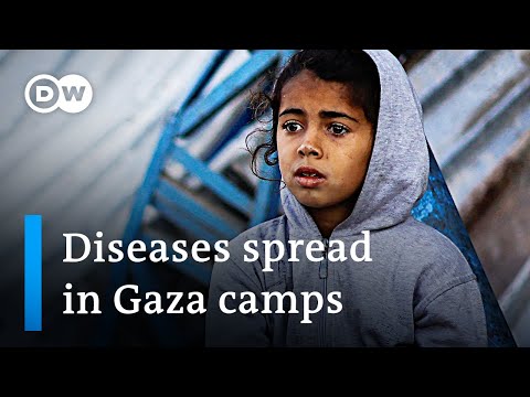 Gaza update: Israeli activists block ‘vital’ aid deliveries into Gaza | DW News
