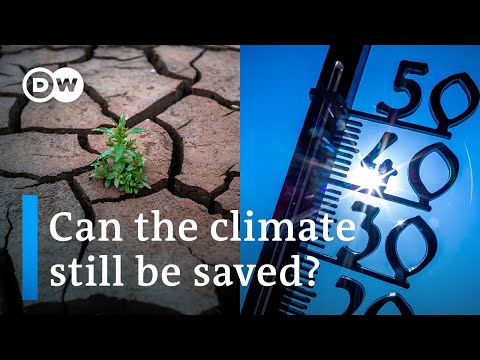 January 2024 was the warmest January since records began | DW News