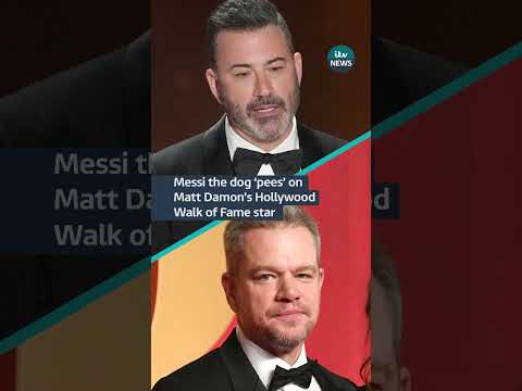 The #oscars ended with a clip of Messi the dog ‘peeing’ on Matt Damon’s #hollywood star #itvnews