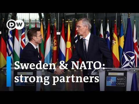 Why Sweden is good for NATO – and vice versa | DW News