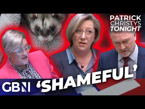 ‘SHAMEFUL’ Labour MPs debate FERRETS instead of safeguarding kids: ‘Trans-extremists SCARE Labour’