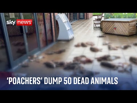 ‘Poachers’ dump 50 dead animals outside community shop