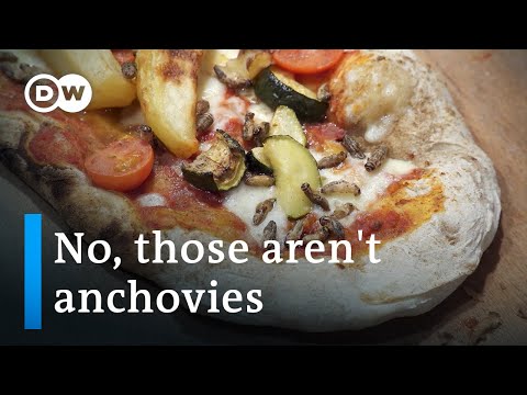 Italian startup hopes pizza topped with insects will catch on | Focus on Europe