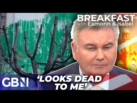 Eamonn Holmes slams new Banksy artwork | ‘It looks dead to me!’