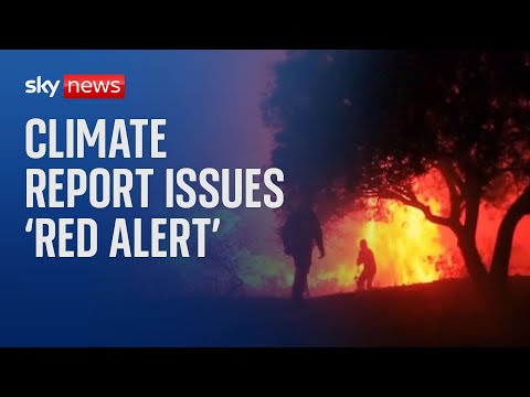 Climate report issues ‘red alert’ warning after record-breaking temperatures