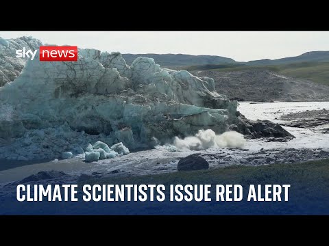 Red alert issued after global temperatures reached record highs in 2023