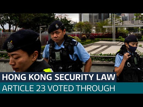 Hong Kong security law Article 23 voted through | ITV News