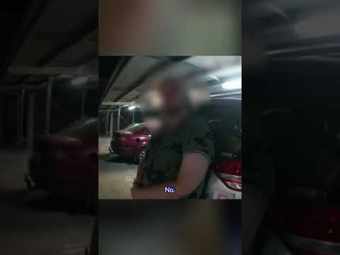 Man charged after 26 snakes found in vehicle