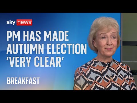 PM has ‘set out clearly an autumn time frame’ for election, says minister