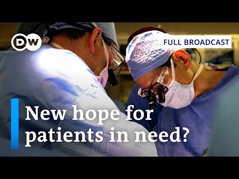 DW News March 21 | First live pig-to-human kidney transplant done in US | Full Broadcast