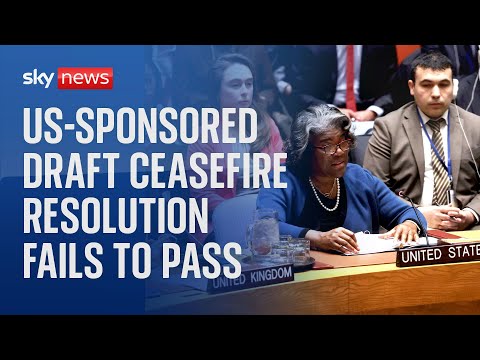 US-sponsored draft resolution on Gaza ceasefire fails to pass in UN Security Council
