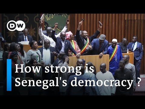 Senegal to vote after Macky Sall’s delay sparks weeks of chaos | DW News