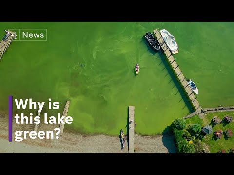 Lake Windermere – why swimmer health could be at risk in World Heritage waters