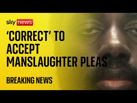 Prosecutors correct to accept Nottingham killer’s manslaughter pleas, report finds