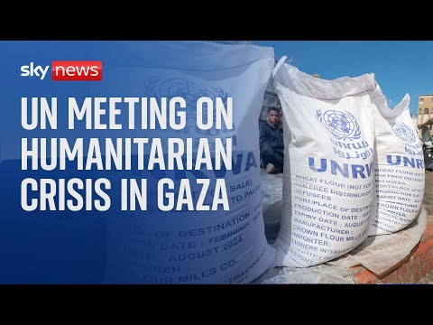 Watch live: UN Security Council meeting on humanitarian crisis in the Middle East and Gaza