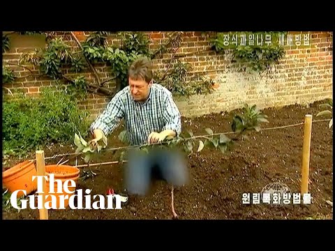 North Korean TV censors BBC presenter’s jeans to hide ‘symbol of US imperialism’