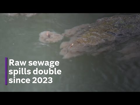Untreated sewage dumped into England rivers and seas doubles in 2023