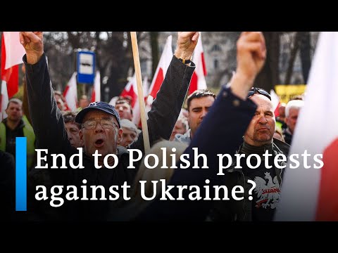 Polish government now close to adeal with Ukraine on agricultural imports | DW News