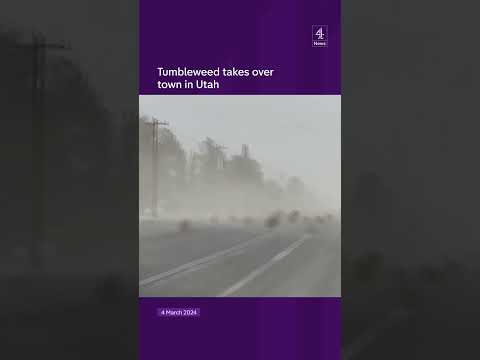 Tumbleweed takes over town in Utah