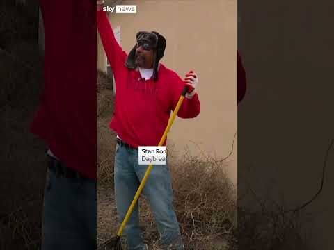10ft high tumbleweeds roll into Utah towns