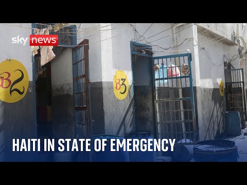 Haiti government calls for state of emergency after mass prisoner escape