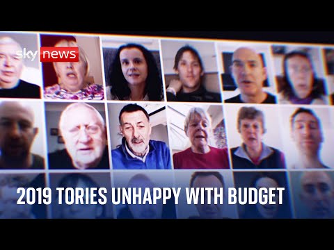 Budget 2024: Voters Panel suggests plans unlikely to win back Tory 2019 supporters