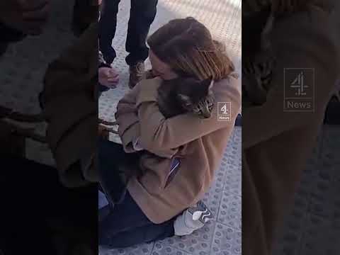 Cat reunited with owner after Valencia fire