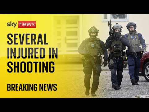 Finland: Several injured in school shooting as suspect arrested