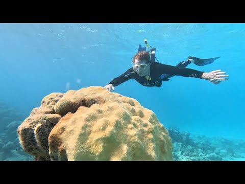 Bahamas – The Disappearing Islands: On Assignment | ITV News