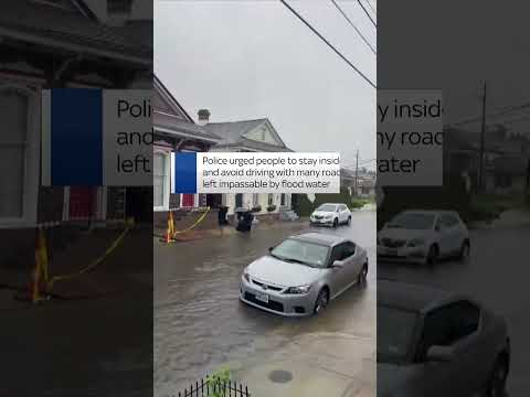 Tesla Cybertruck drives through flooded New Orleans after storms