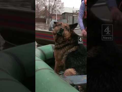 Evacuation in Russia after huge floods