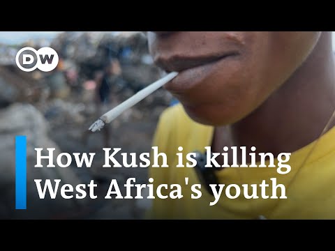 Why the toxic synthetic drug is so hard to fight | DW NEWS