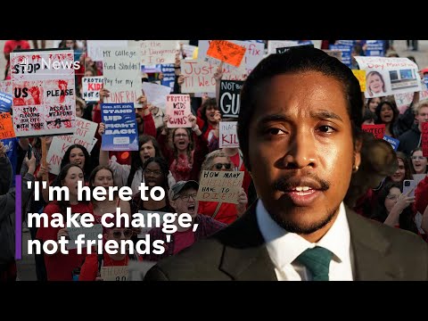 The young lawmaker fighting to end school shootings in America