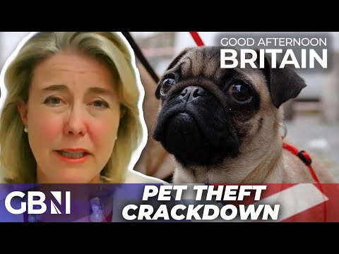 Pet theft CRACKDOWN: ‘Callous criminals’ who steal pets are one step closer to prison time