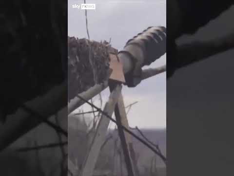 Russia says it’s shot down Ukrainian planes