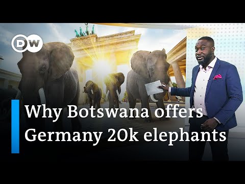Botswana’s President Masisi: ‘I want the Germans to feel what we feel’ | DW News Africa