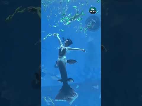 Mermaid competition in Shanghai attracts nearly 100 athletes from home and abroad #itvnews #mermaid
