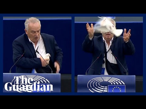 Confusion after MEP releases ‘peace dove’ from bag in European parliament