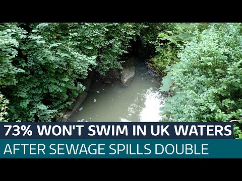 Over two thirds of adults won’t swim in UK waters due to sewage spills | ITV News