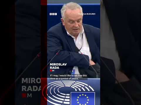 Dove released in European Parliament chamber by Slovakia member as “symbol of peace”. #BBCNews