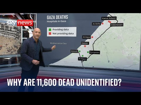 Gaza authorities unable to measure number of people killed | Israel-Hamas War