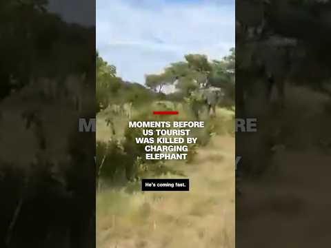 Moments before US tourist was killed by charging elephant