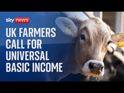 UK farmers call for universal basic income as they struggle to ‘break even’