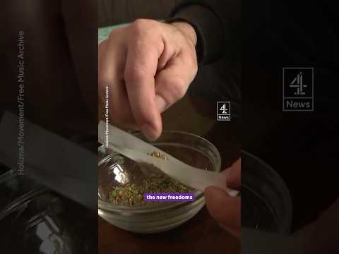 Germany makes cannabis legal – new rules explained