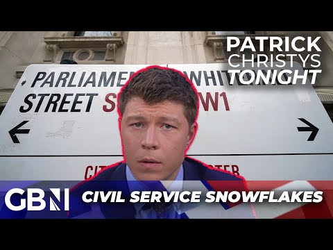 ‘Snowflake’ civil service offered ‘completely ridiculous’ trigger support for traumatised staff