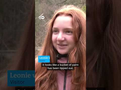 A lake in Bavaria is captivating observers with a natural wonder | DW News
